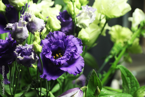 purple lisianthus flowers