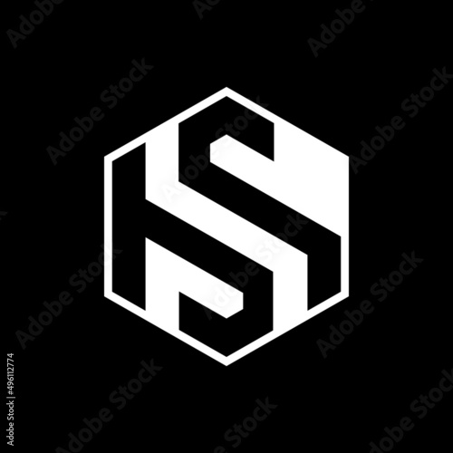 letter bs hexagon logo design vector photo