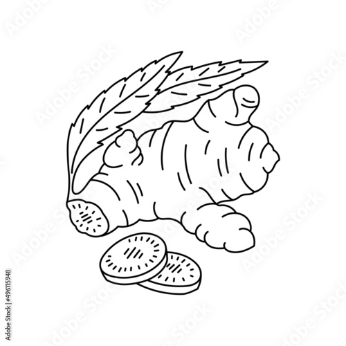 Turmeric spices. Cooking ingredient. Line icon. Editable stroke size. Vector sketch illustration.