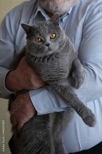 Smoky Scottish cat in the arms of an elderly man