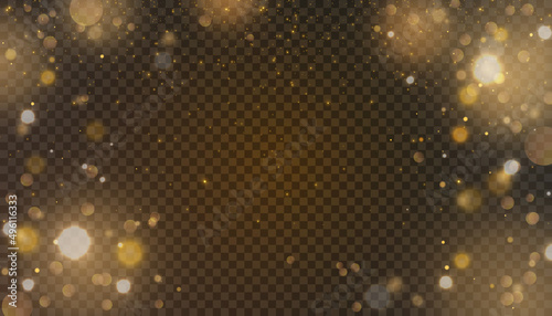 glitter vintage lights background. gold, orange, black. defocused. Vector