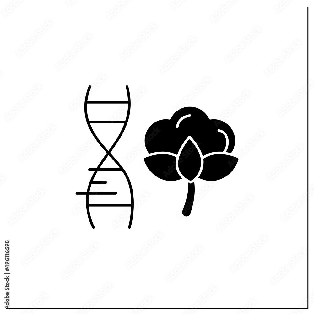 Cotton glyph icon. Genetically modified plant. GMO product. Improving genes. Microbiology. Genetically modified organism concept.Filled flat sign. Isolated silhouette vector illustration Cotton glyph icon. Genetically modified plant. GMO product. Improving genes. Microbiology. Genetically modified organism concept.Filled flat sign. Isolated silhouette vector illustration