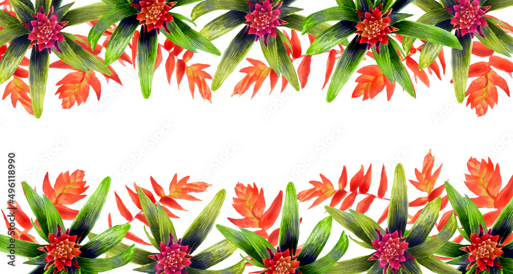 red flower border red flower border