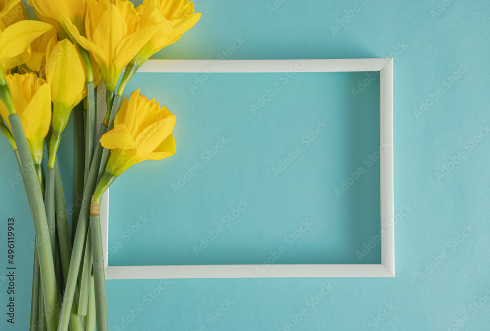 Waist of fresh yellow daffodils on a blue background with a white photo frame. Empty, copy space. Flat lay design. 