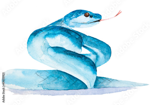 Watercolor drawing of blue viper isolated on the white background. Hand painted illustration of blue snake