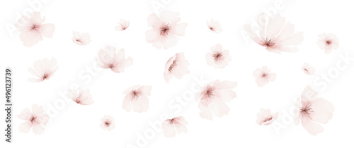 Watercolor pale pink flowers collection vector design