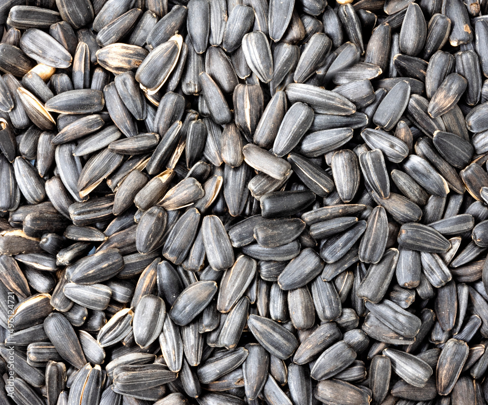 sunflower seeds background. close up texture of sunflower seeds sunflower seeds background. close up texture of sunflower seeds