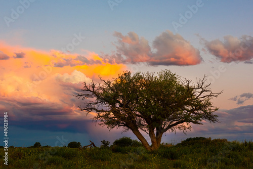 Stormy sky at sunset in the pampas field, La Pampa, Argentina. photo