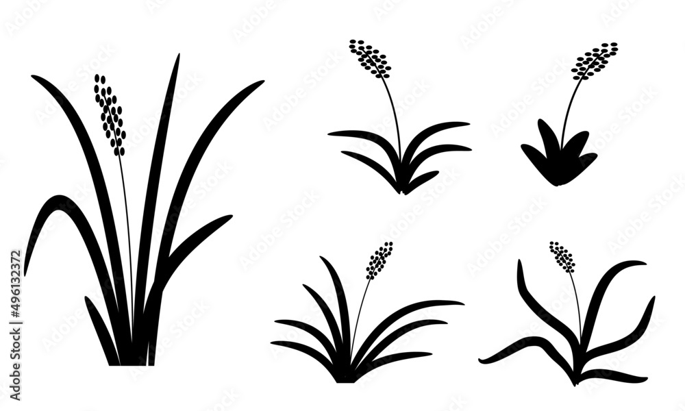 grass and flowers black silhouette