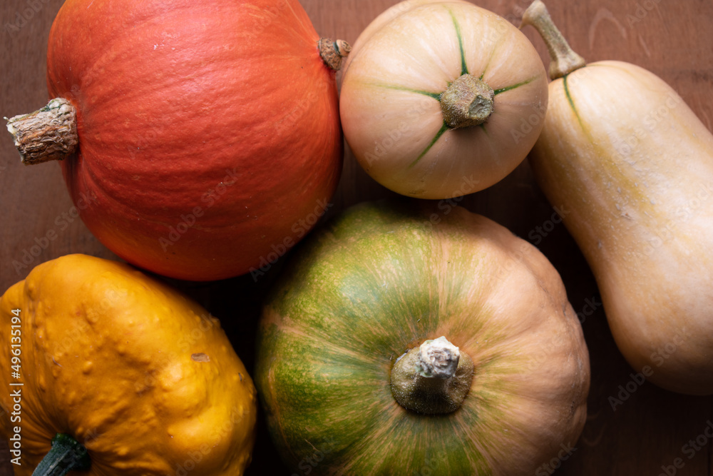 Variety of squashes on a table : butternut, pattypan, pumpkin Variety of squashes on a table : butternut, pattypan, pumpkin