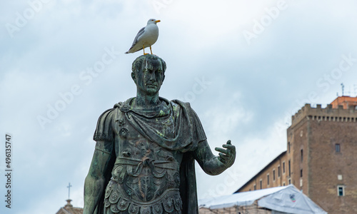Foto Julius Caesar Statue and Seagull