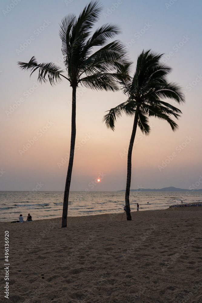 Two palm trees on the seashore during sunset.