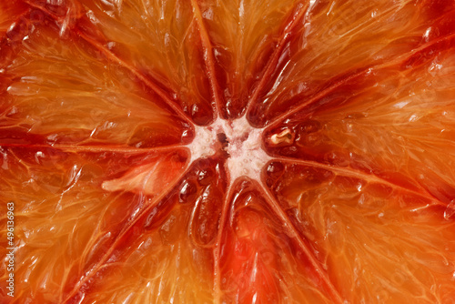 Blood Orange Macro, circle portion 