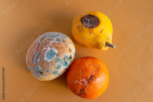 Top view of moldy foods isolated on color background photo