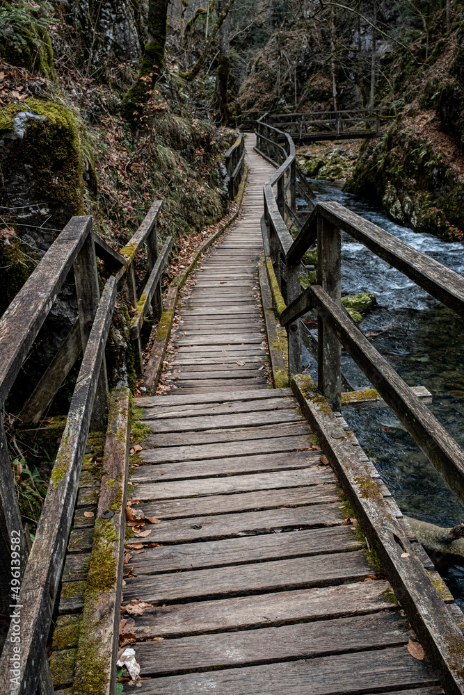 wooden bridge over a mountain stream, early spring