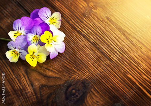 pink headphones isolated on a white background