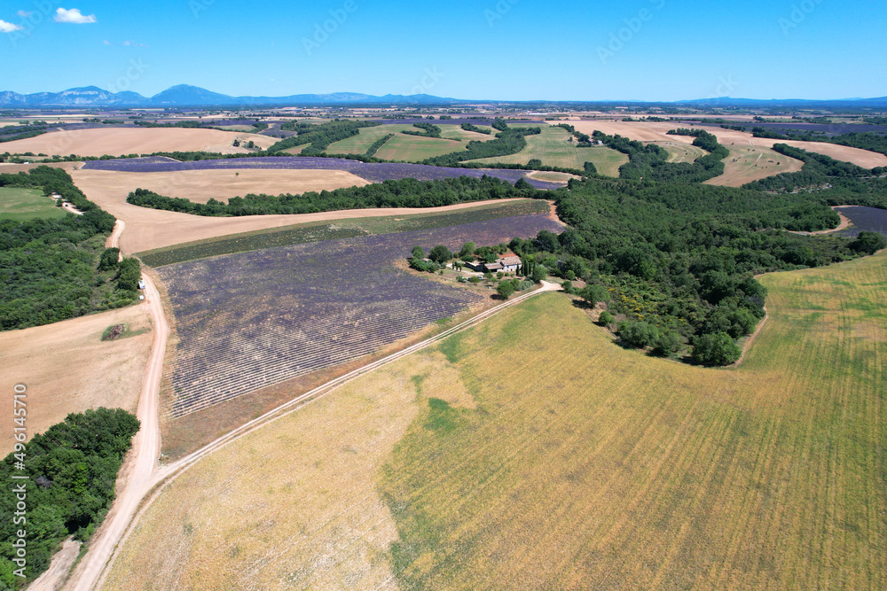 Aerial view of the lavender fields on the Plateau de Valensole in the Alpes-de-Haute-Provence in the South of France