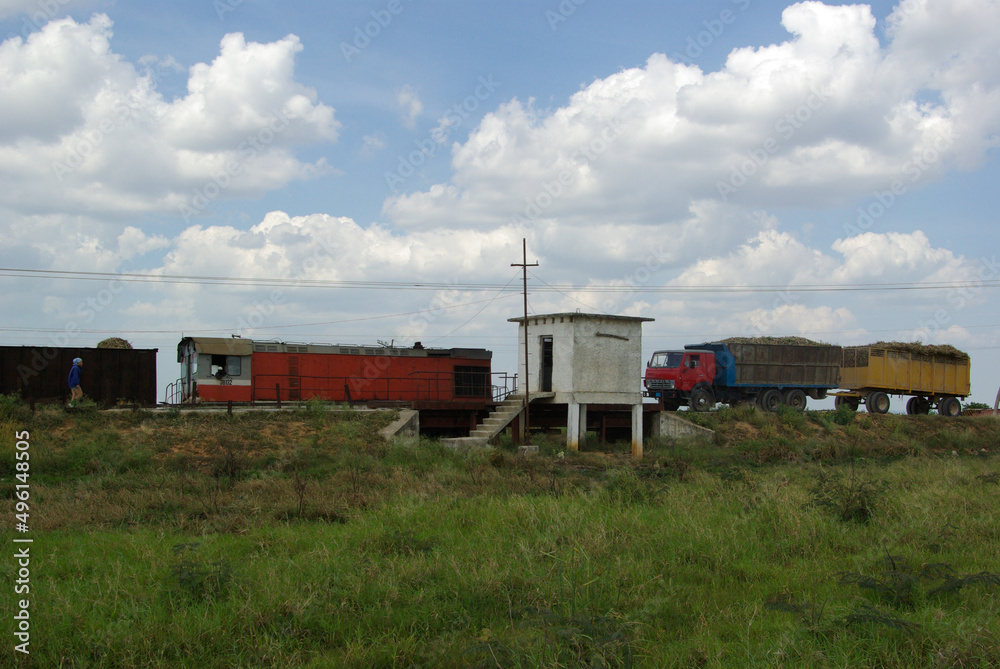 The sugar cane is transported by truck and will then be lloaded on the train The sugar cane is transported by truck and will then be lloaded on the train