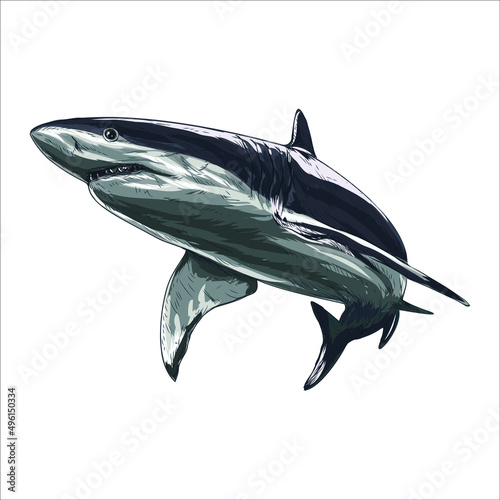 Shark hand-drawn vintage sketch design