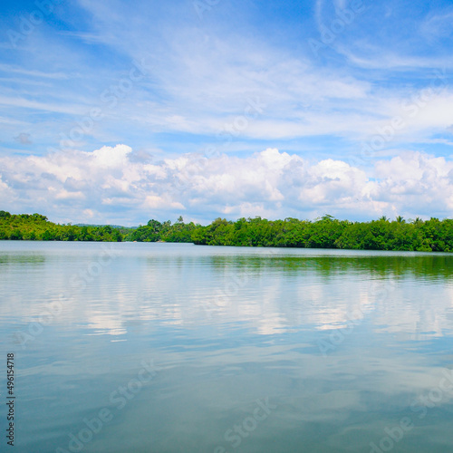 Mangrove forests on the shore of the lake and the sky with beautiful clouds. © alinamd
