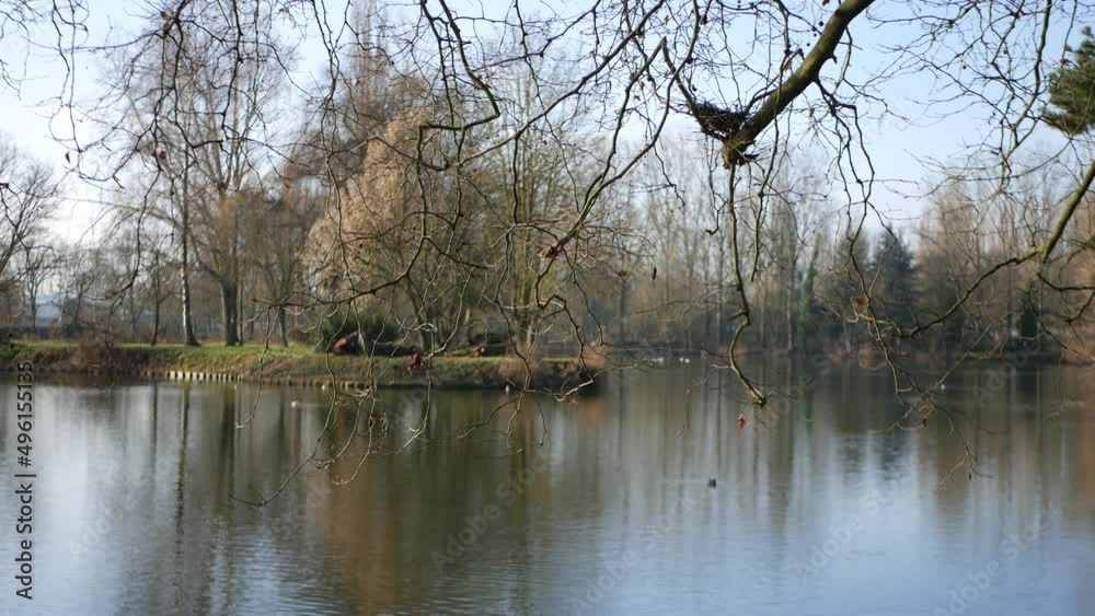 a lake surrounded with tree and branches against the sky in the park a lake surrounded with tree and branches against the sky in the park