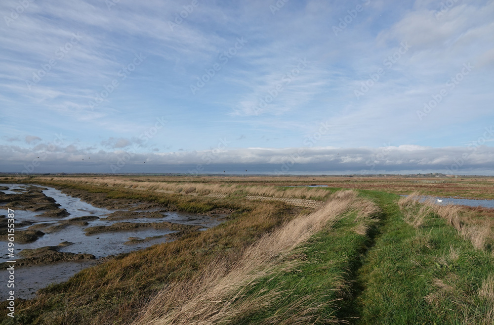 A scenic view along a grassy footpath through Old Hall Marshes, Essex, UK on a bright winter's day. 