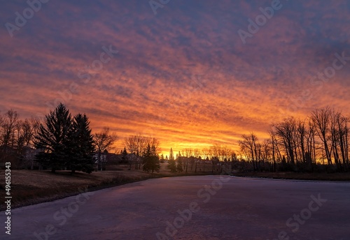 Sunrise In A Spring Park