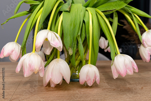 A bouquet of wilted purple tulips standing in a vase on the table.