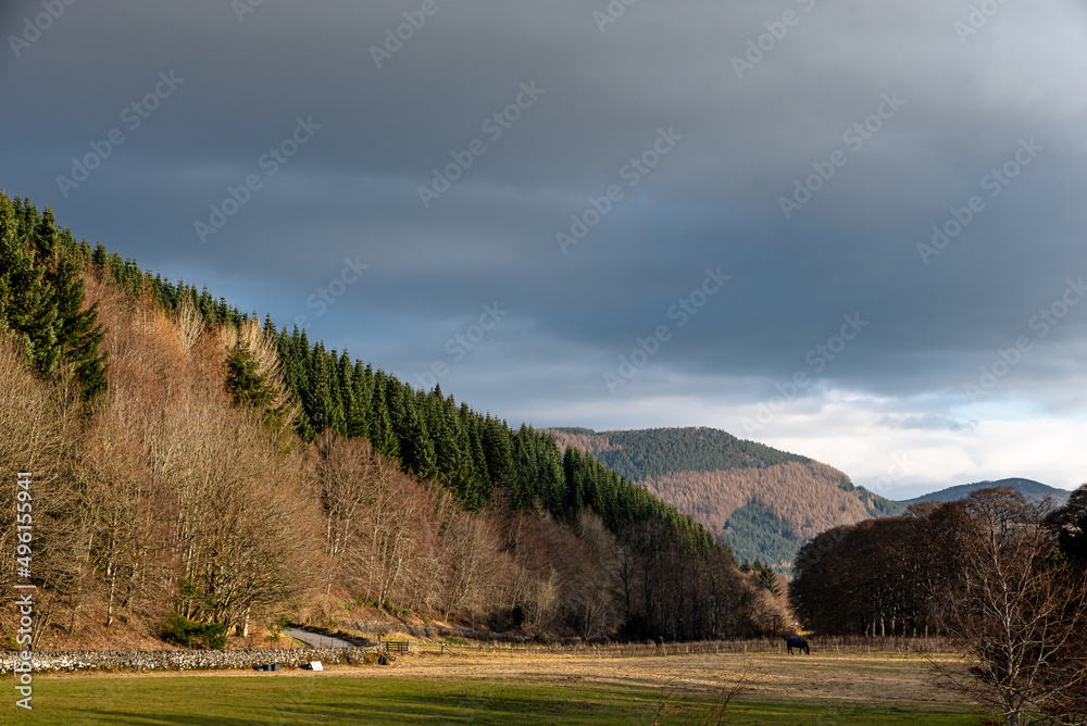 A view over a peaceful scene and down a Scottish Glen alongside the River Tay in Perthshire