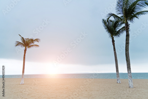 Palm trees by the sea under dark sky