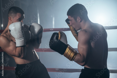 Two muscular mixed martial arts athletes fighting in the ring. High quality photography. © herraez