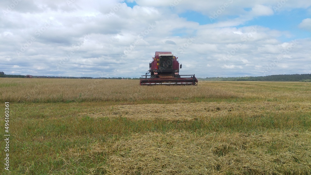 A combine harvester is working in a field of mature barley, harvesting and threshing. Behind the field, a forest grows. Clouds move across the blue sky and cover the sun A combine harvester is working in a field of mature barley, harvesting and threshing. Behind the field, a forest grows. Clouds move across the blue sky and cover the sun