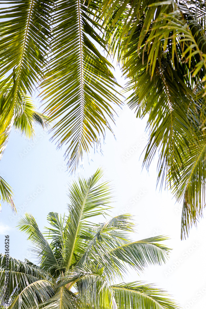 Naklejka premium the view from the beach