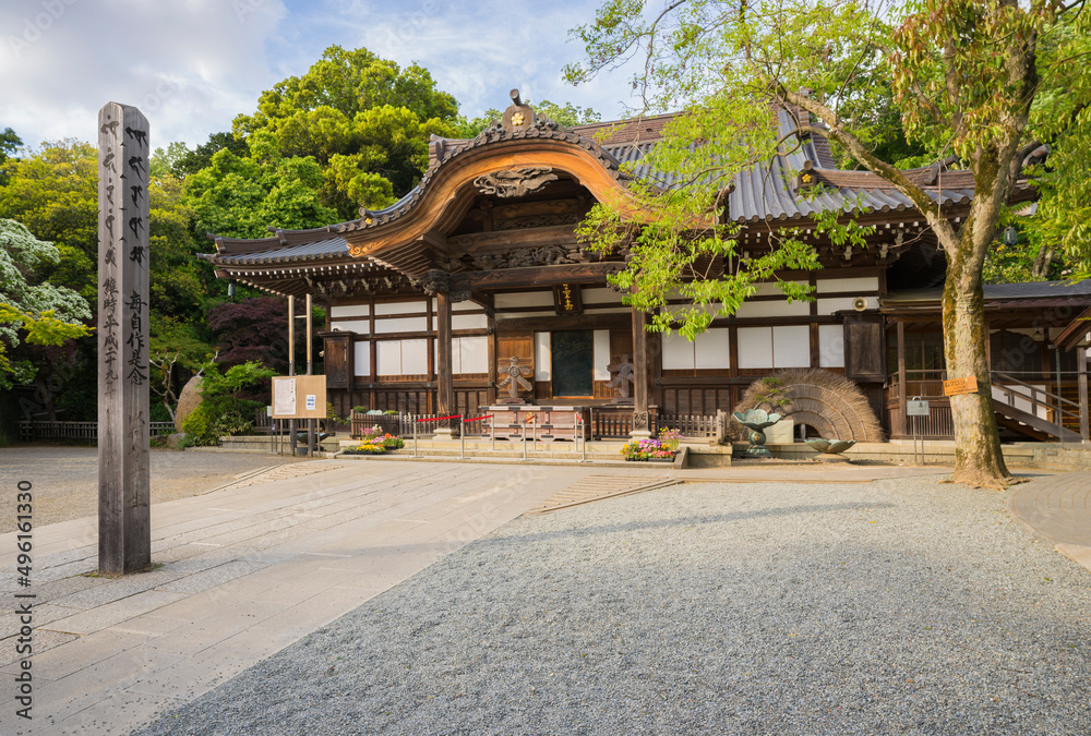 新緑　爽やか　寺　建築　深大寺