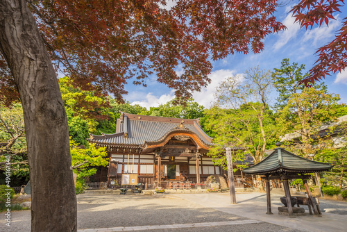 新緑　爽やか　寺　建築　深大寺