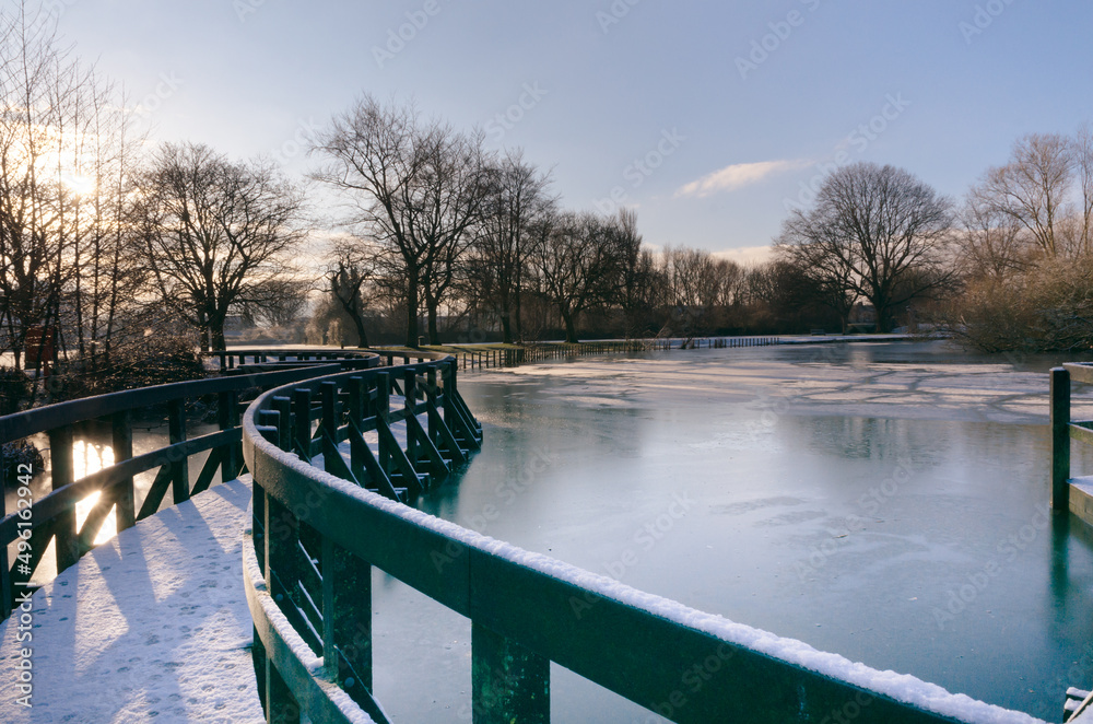 Naklejka premium bridge in the park