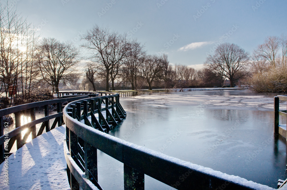 Naklejka premium bridge in the park