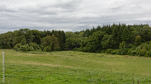 MEadow and forest in Condroz region, Wallonia, Belgium