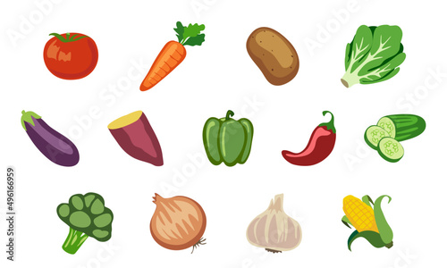 Vector Vegetables Tomato Carrot Potato Lettuce Eggplant Purple Potato Bell Pepper Red Pepper Cucumber Broccoli Onion Garlic Corn