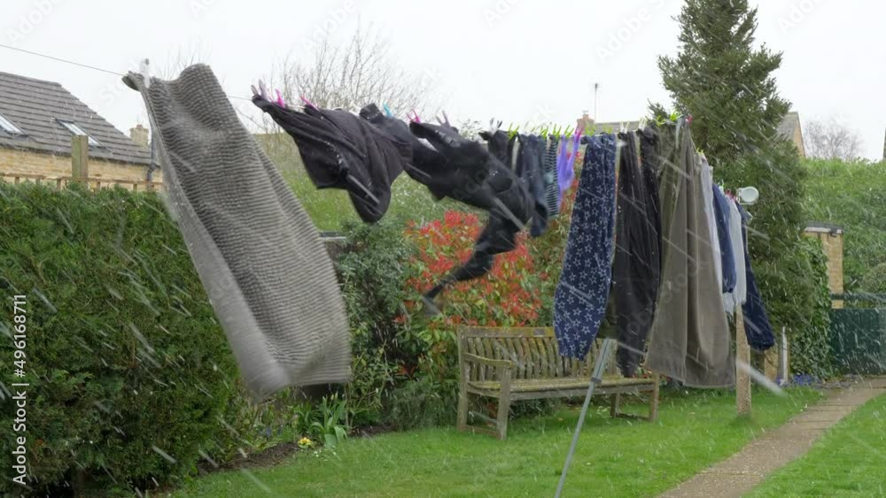 Wet washing just hung out to dry on a line in a windy suburban garden, with snow suddenly falling, at the end of March in the UK, with leafy shrubs in bloom.