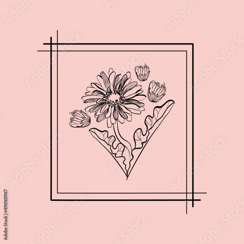 Vector illustration with gerbera flowers, buds and leaves in frame on a pink background in doodle technique 