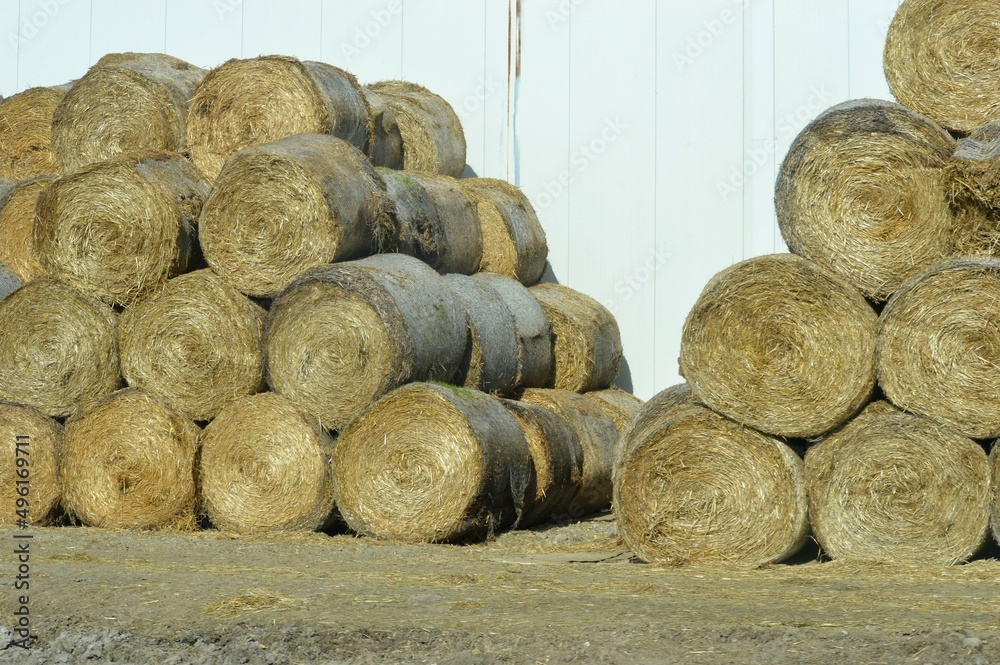 hay packed in a circle and stacked hay packed in a circle and stacked