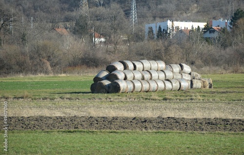 bales of hay in the meadows