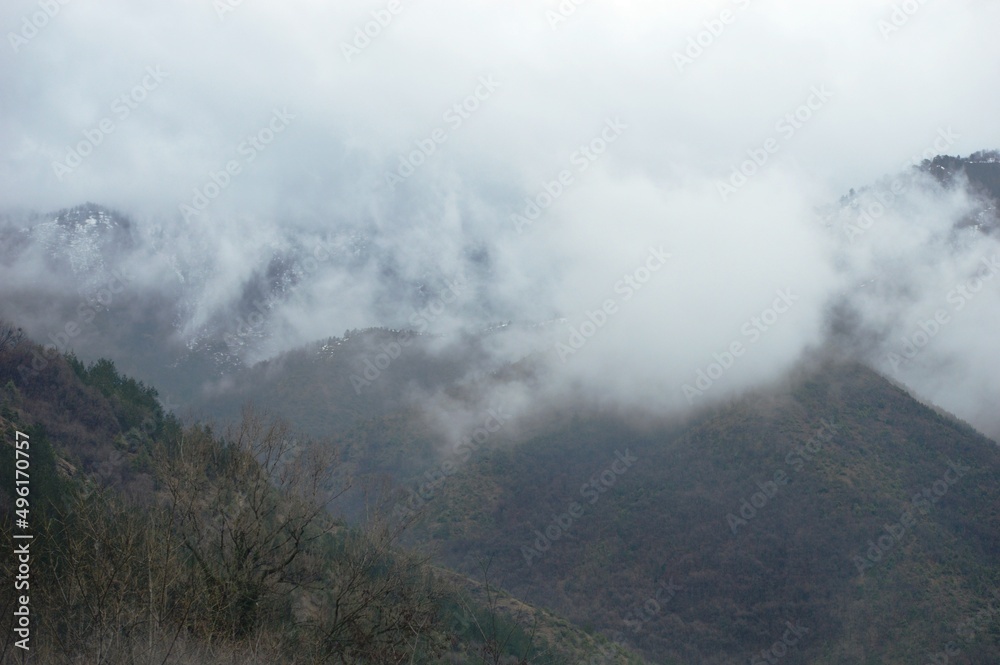 landscape of hills in the morning mist