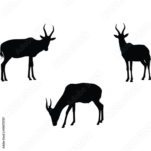 Blesbok Silhouette Vector