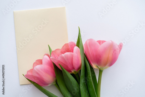 Fototapeta Naklejka Na Ścianę i Meble -  top view of pink tulips near pastel yellow envelope on white.