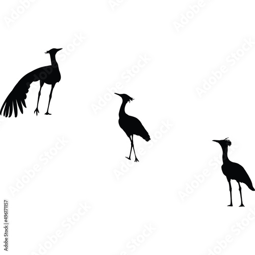 Kori Bustard Silhouette Vector