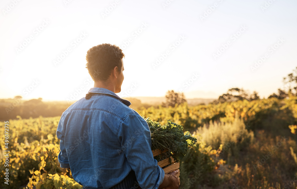 His day starts before the sun has even risen. Cropped shot of a young man working on a farm.