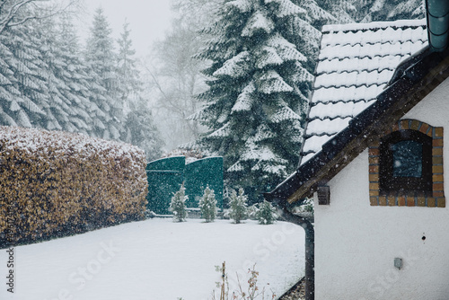 Nice garden with snow. Garden in winter. Winter mood.  snow in Germany. garden in winter. Beech hedge in winter 
