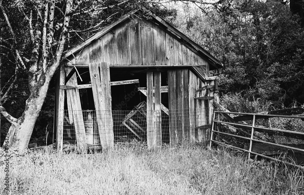 Old wood shack in the countryside Sonoma California